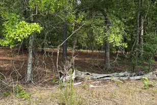 Lot B Warbonnet Rd, Salley, SC 29137 - Photo 1