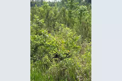 Lot F Warbonnet Road, Salley, SC 29137 - Photo 3