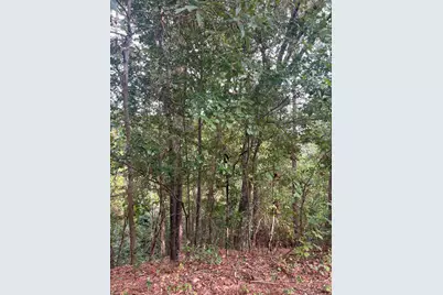 110 Springwood Drive, Aiken, SC 29803 - Photo 3