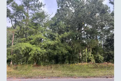 110 Springwood Drive, Aiken, SC 29803 - Photo 1