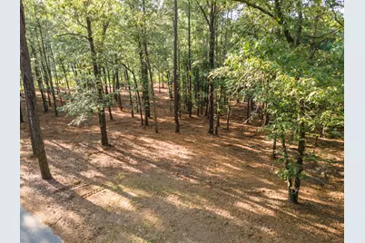 Tbd Edisto Lake Road #39, Wagener, SC 29164 - Photo 31