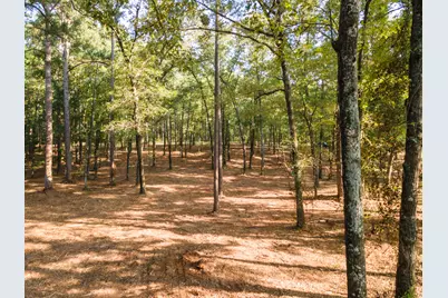 Tbd Edisto Lake Road #39, Wagener, SC 29164 - Photo 15