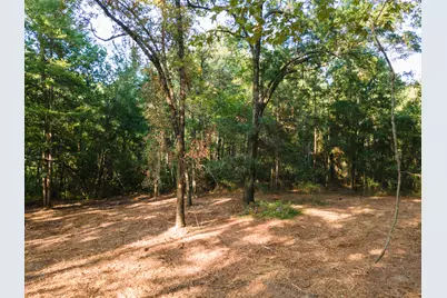 Tbd Edisto Lake Road #39, Wagener, SC 29164 - Photo 11