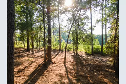Tbd Edisto Lake Road #39, Wagener, SC 29164 - Photo 13