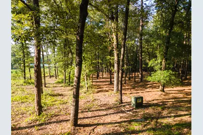 Tbd Edisto Lake Road #39, Wagener, SC 29164 - Photo 29