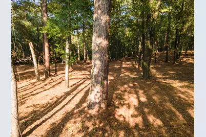 Tbd Edisto Lake Road #39, Wagener, SC 29164 - Photo 23
