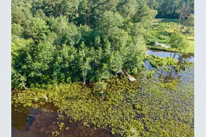 Tbd Edisto Lake Road #39, Wagener, SC 29164 - Photo 5