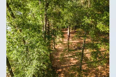 Tbd Edisto Lake Road #39, Wagener, SC 29164 - Photo 21