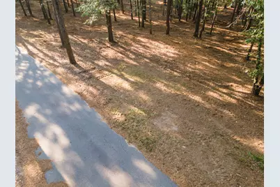 Tbd Edisto Lake Road #39, Wagener, SC 29164 - Photo 33