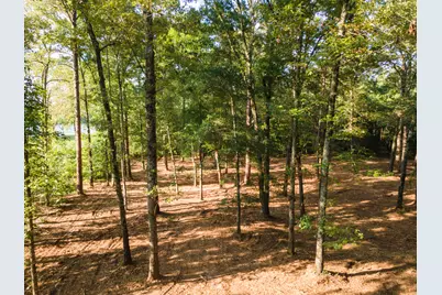 Tbd Edisto Lake Road #39, Wagener, SC 29164 - Photo 25