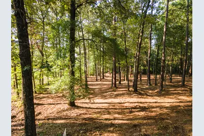 Tbd Edisto Lake Road #39, Wagener, SC 29164 - Photo 27