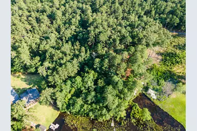 Tbd Edisto Lake Road #39, Wagener, SC 29164 - Photo 3