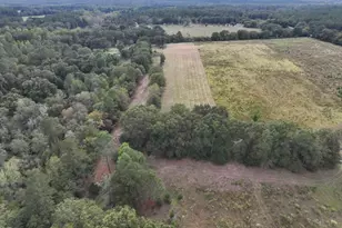 664 Flowing Well Rd, Wagener, SC 29164 - Photo 1