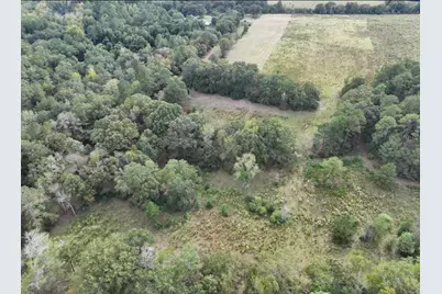 664 Flowing Well Road, Wagener, SC 29164 - Photo 3
