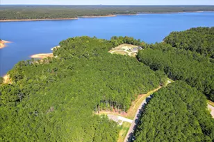 1165 Watersedge Cove, Tignall, GA 30668 - Photo 7