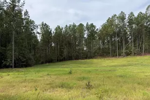 Tbd New Holland Rd Rd, Wagener, SC 29164 - Photo 1