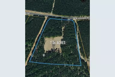 Tbd New Holland Rd Road, Wagener, SC 29164 - Photo 7
