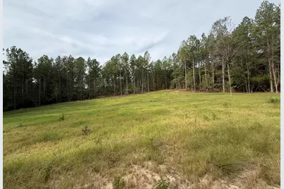 Tbd New Holland Rd Road, Wagener, SC 29164 - Photo 5