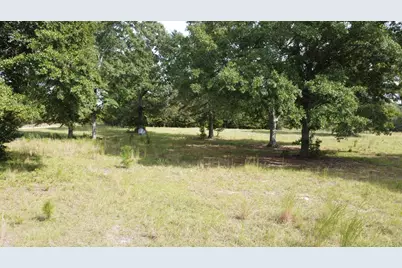 Lot A Warner Road Road, Salley, SC 29137 - Photo 9