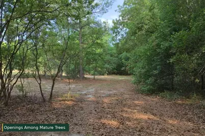 0 Lot 8 Holiness Church Road, Wagener, SC 29164 - Photo 21