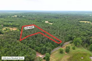 0 Lot 8 Holiness Church Rd, Wagener, SC 29164 - Photo 1