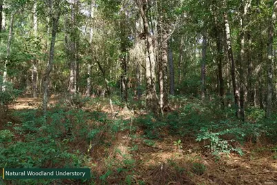 0 Lot 8 Holiness Church Road, Wagener, SC 29164 - Photo 23