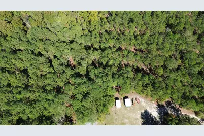 314 Windy Ridge Road, Trenton, SC 29847 - Photo 29