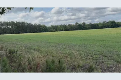 988 Flowing Well Road, Wagener, SC 29164 - Photo 5
