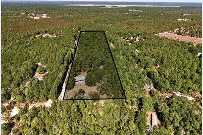 297 Pearl Bonnett Road, Windsor, SC 29856 - Photo 5