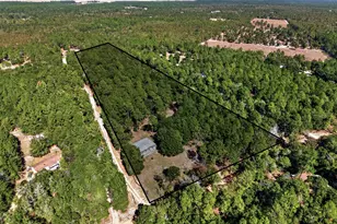 297 Pearl Bonnett Rd, Windsor, SC 29856 - Photo 11