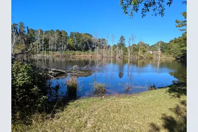51 Long Cane Road, Johnston, SC 29832 - Photo 3