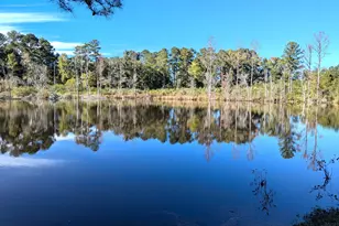51 Long Cane Rd, Johnston, SC 29832 - Photo 1