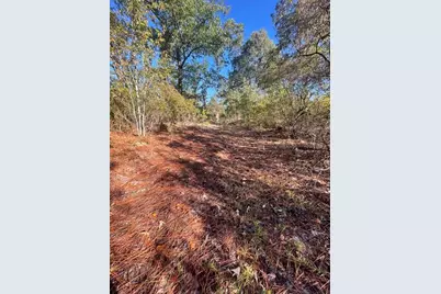 5038 Aggravashun Circle, Wagener, SC 29164 - Photo 7