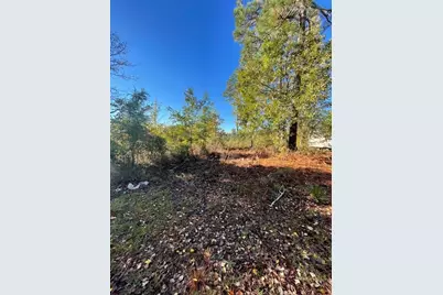 5038 Aggravashun Circle, Wagener, SC 29164 - Photo 3