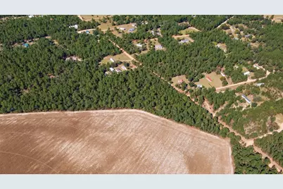 333 Northcutt Road, Pelion, SC 29123 - Photo 11