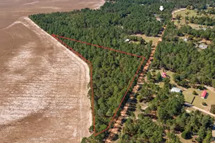 333 Northcutt Rd, Pelion, SC 29123 - Photo 1