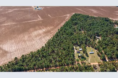 Tbd Northcutt Road, Pelion, SC 29123 - Photo 15