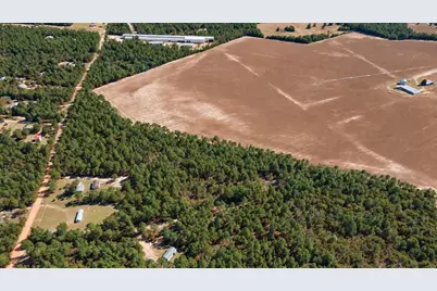 Tbd Northcutt Road, Pelion, SC 29123 - Photo 13