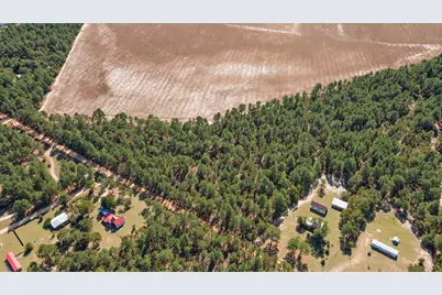Tbd Northcutt Road, Pelion, SC 29123 - Photo 5