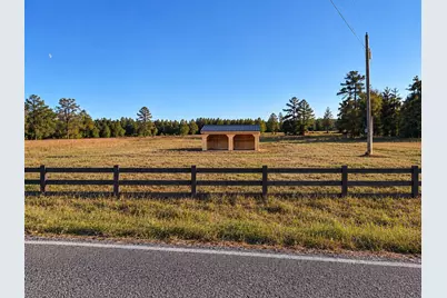 Lot 1 Jaywood Road, Williston, SC 29853 - Photo 3