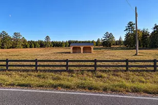 Lot 1 Jaywood Rd, Williston, SC 29853 - Photo 3