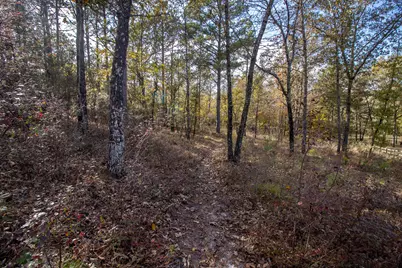 260 Bluffwood Road, Wagener, SC 29164 - Photo 61