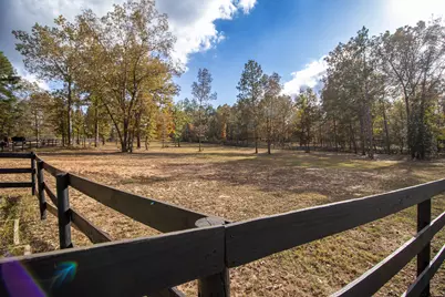 260 Bluffwood Road, Wagener, SC 29164 - Photo 7