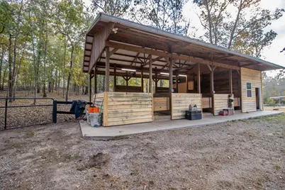 260 Bluffwood Road, Wagener, SC 29164 - Photo 5
