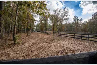 260 Bluffwood Road, Wagener, SC 29164 - Photo 57