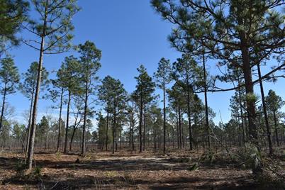 Lot 7 State Park Road - Photo 1