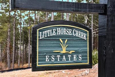 Lot 9 Little Horse Creek Drive - Photo 1