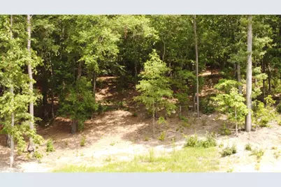 Lot 11 River Birch Road, Aiken, SC 29803 - Photo 1