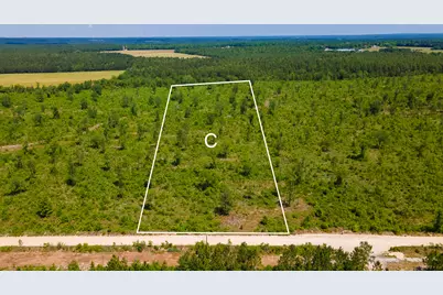Lot 13 Old Shoals Road, Monetta, SC 29105 - Photo 1