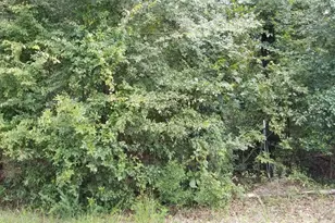 Lot 27 Fairway Dr, New Ellenton, SC 29809 - Photo 1